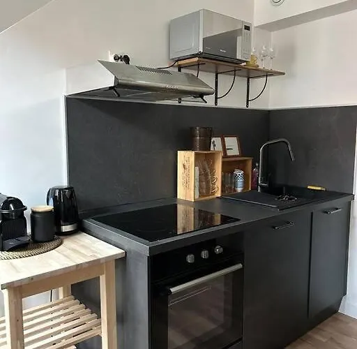 דירה Le Duplex Catherine - Metro - Gare - Wifi טולוז