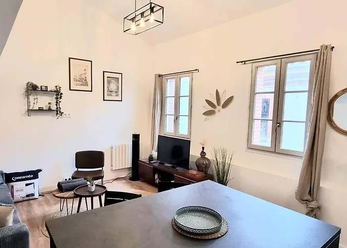 Le Duplex Catherine - Metro - Gare - Wifi 公寓 圖盧茲