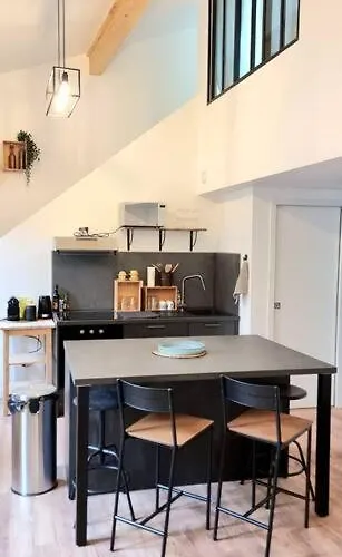 Le Duplex Catherine - Metro - Gare - Wifi * 圖盧茲