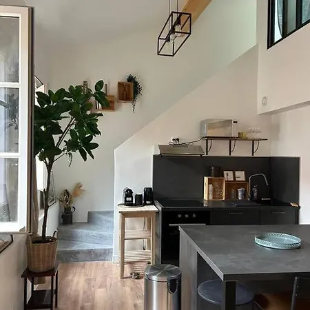 Le Duplex Catherine - Metro - Gare - Wifi 아파트 툴루즈