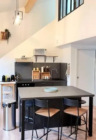 Le Duplex Catherine - Metro - Gare - Wifi * Toulouse